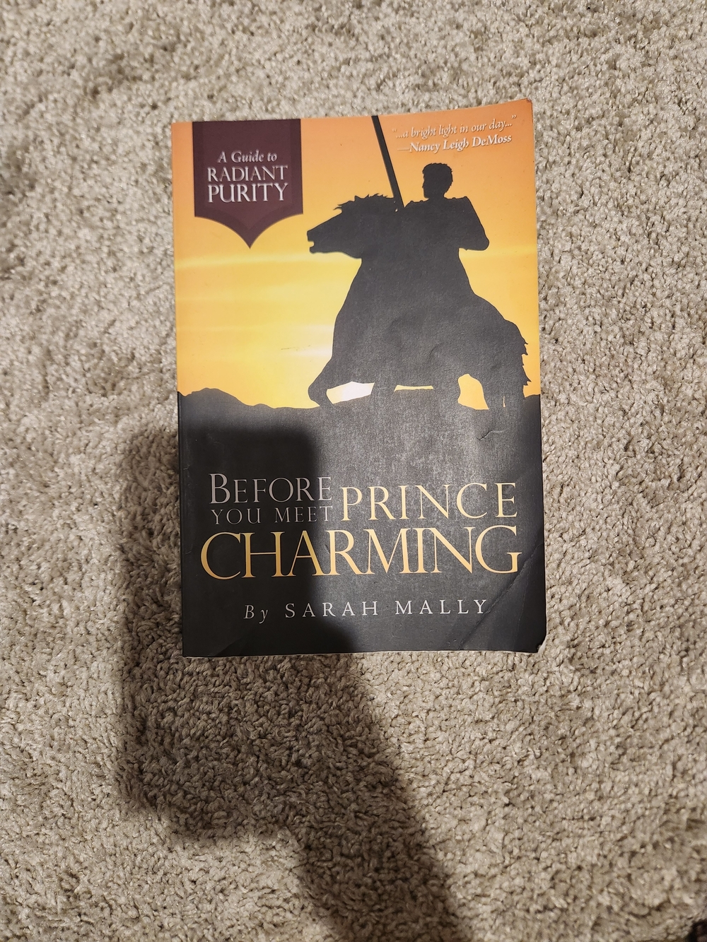 Before You Meet Prince Charming by Sarah Mally - Yellow & Black Guide And Novel